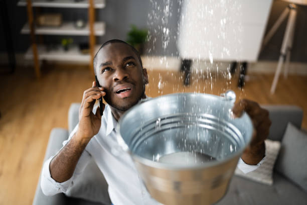 Best 24/7 water damage repair  in Jerseyvle, IL