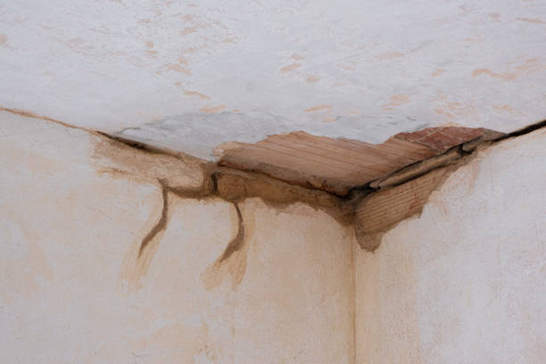 Best Local water damage restoration  in Jerseyvle, IL
