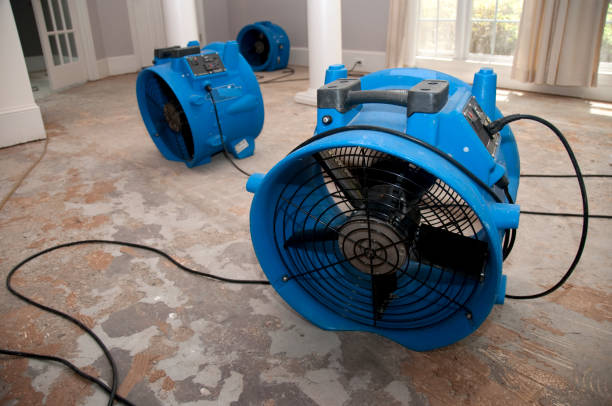 Best Water damage restoration insurance claims  in Jerseyvle, IL