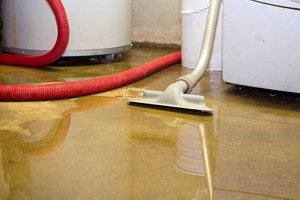 Best Professional water damage repair  in Jerseyvle, IL