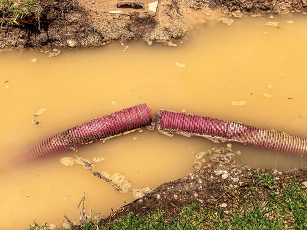 Best Sewage cleanup and water damage restoration  in Jerseyvle, IL