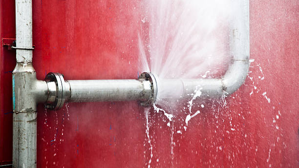 Best Commercial water damage restoration  in Jerseyvle, IL